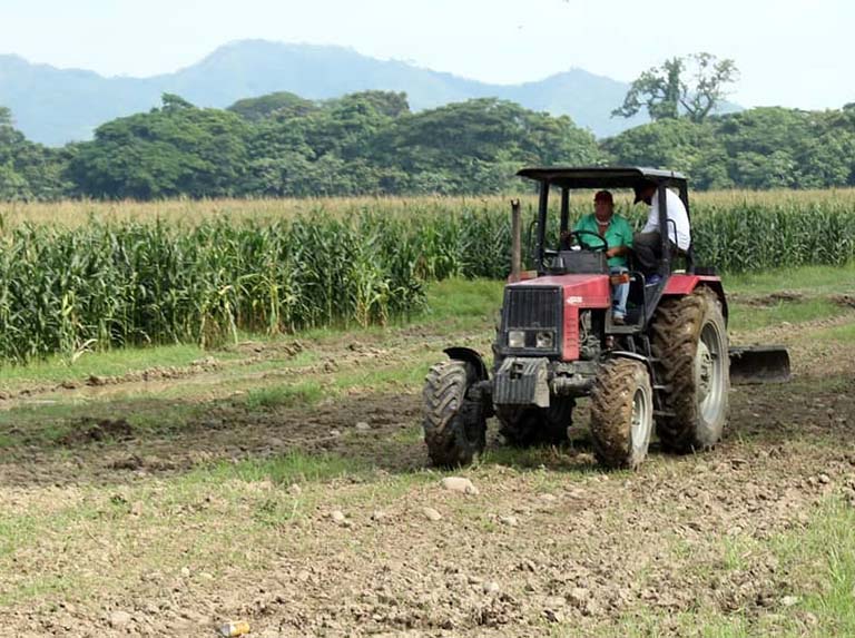 Precio del Diésel industrial se ubica a 0,32 dólares según Gaceta Oficial
Podrá ser cancelado en bolívares a la tasa fijada por el BCV del día que corresponda al suministro
#UniónRevolucionaria @Lagocha_14 @Lluvya03 @luispfz @magopuki @Andredith31 @maykelsanchez23 @IralisailC