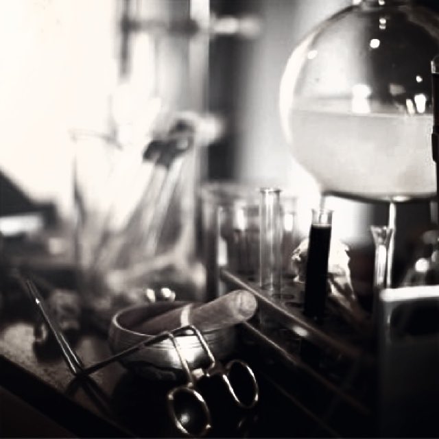 “she is 𝙖𝙡𝙞𝙫𝙚… !”

ɴᴏᴛ ᴍᴀᴅ, ʙᴜᴛ ᴀ ʙᴜsʏ sᴄɪᴇɴᴛɪsᴛ….

              # beasts &amp; creatures au 
              # 𝒋𝒐𝒆