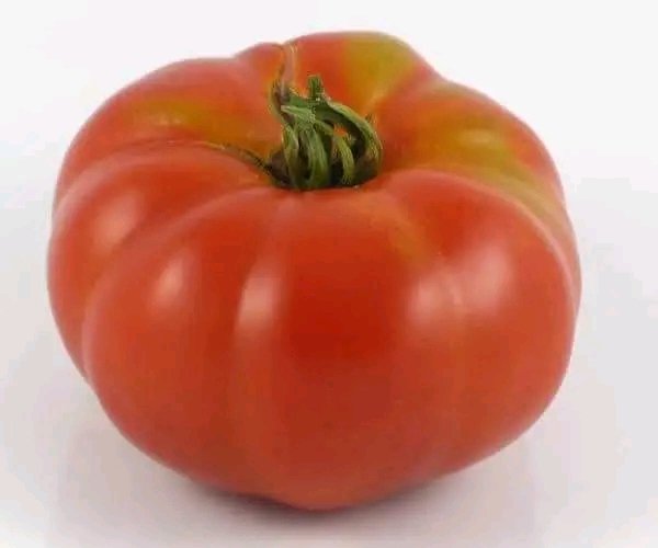Simpsubho 🤡 on Twitter "Tomatoes are the main cause for kidney stone