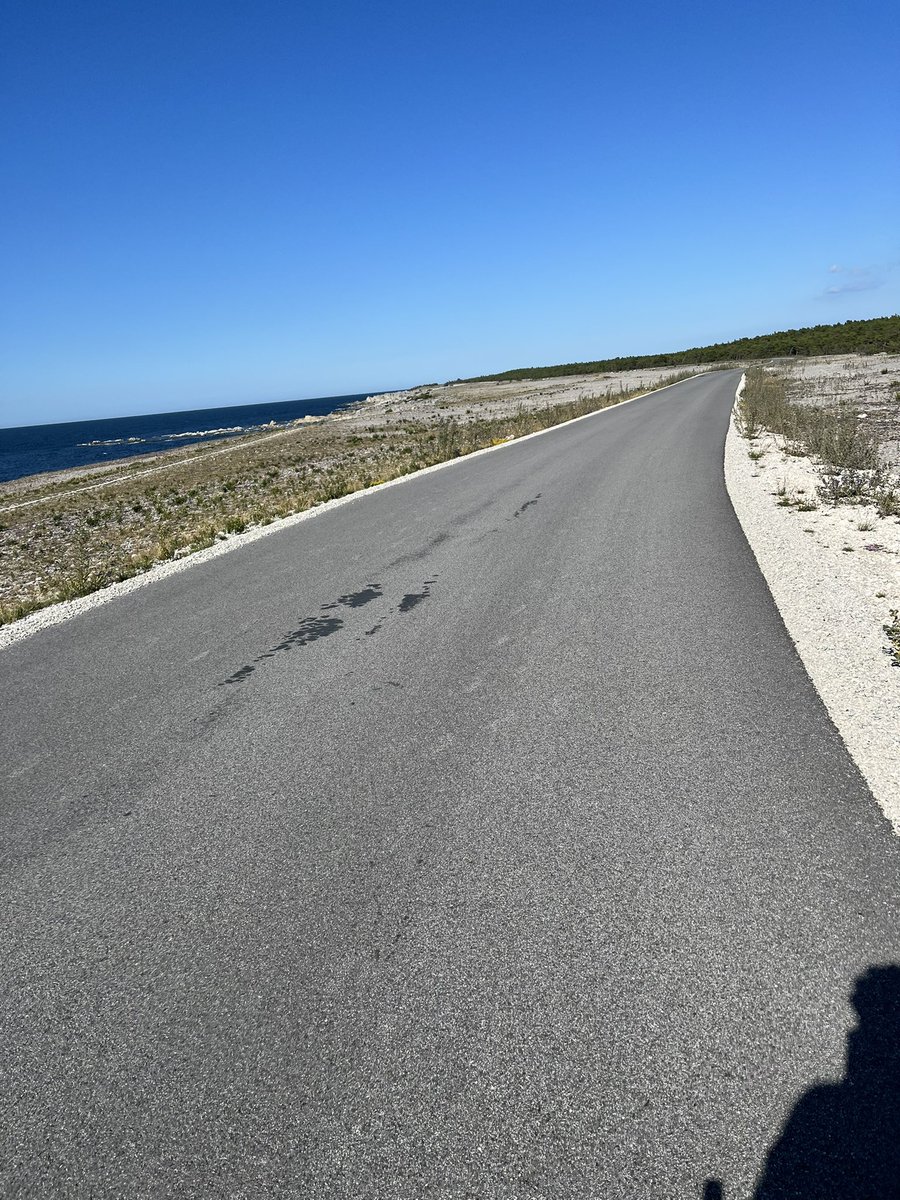 Niclas Sjögren Berg tweet media