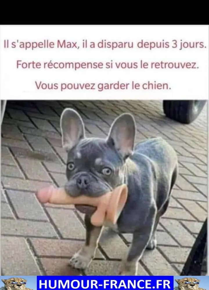 text alternatif