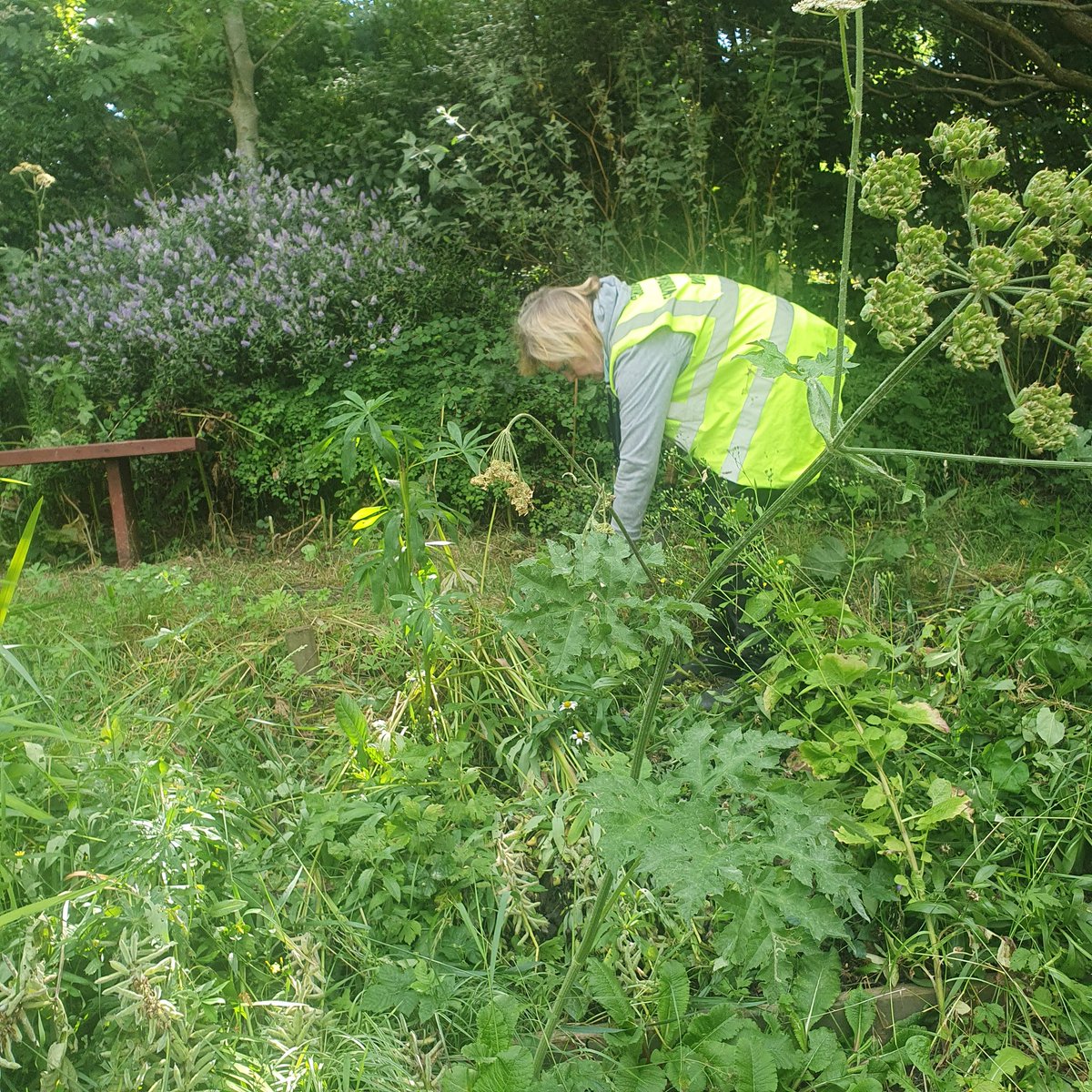Chur Envi Volunteers tweet media