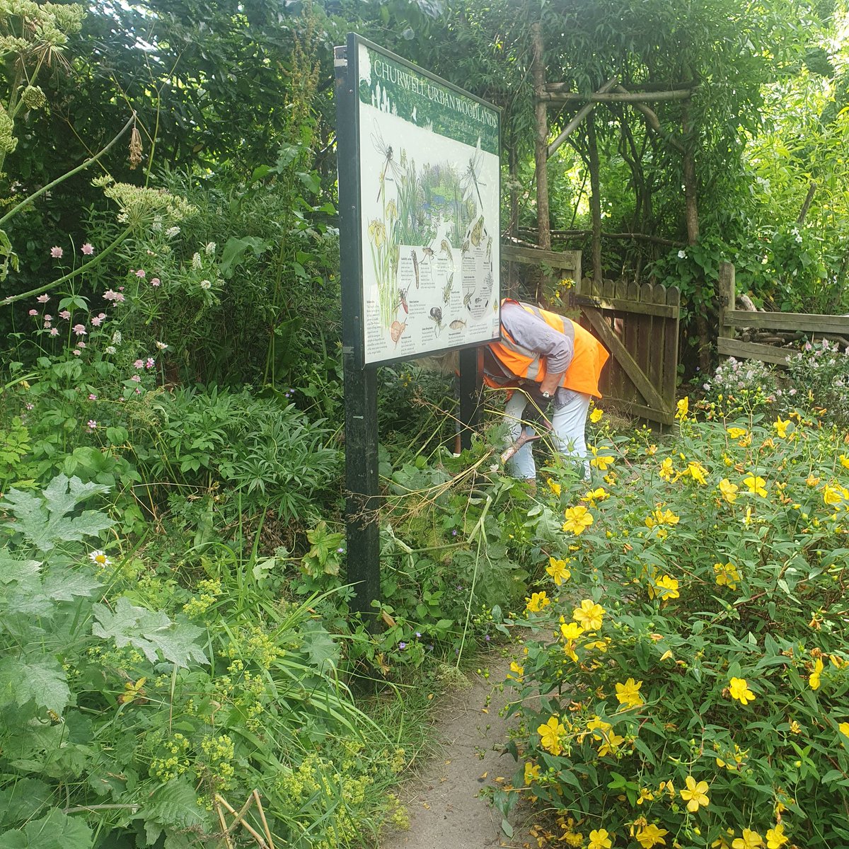 Chur Envi Volunteers tweet media