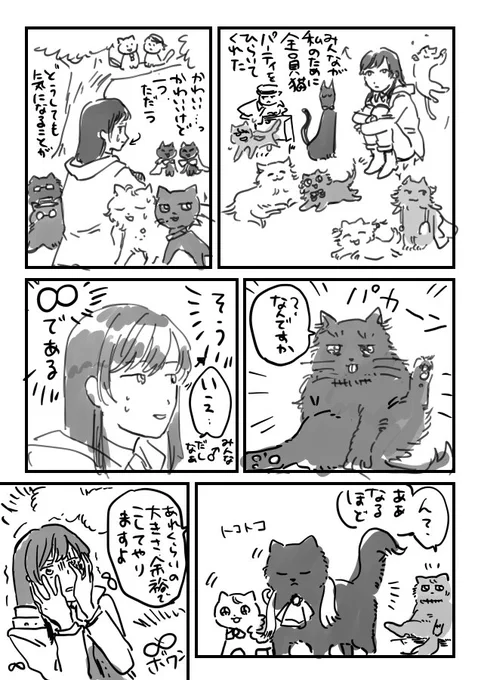🐈♾ 