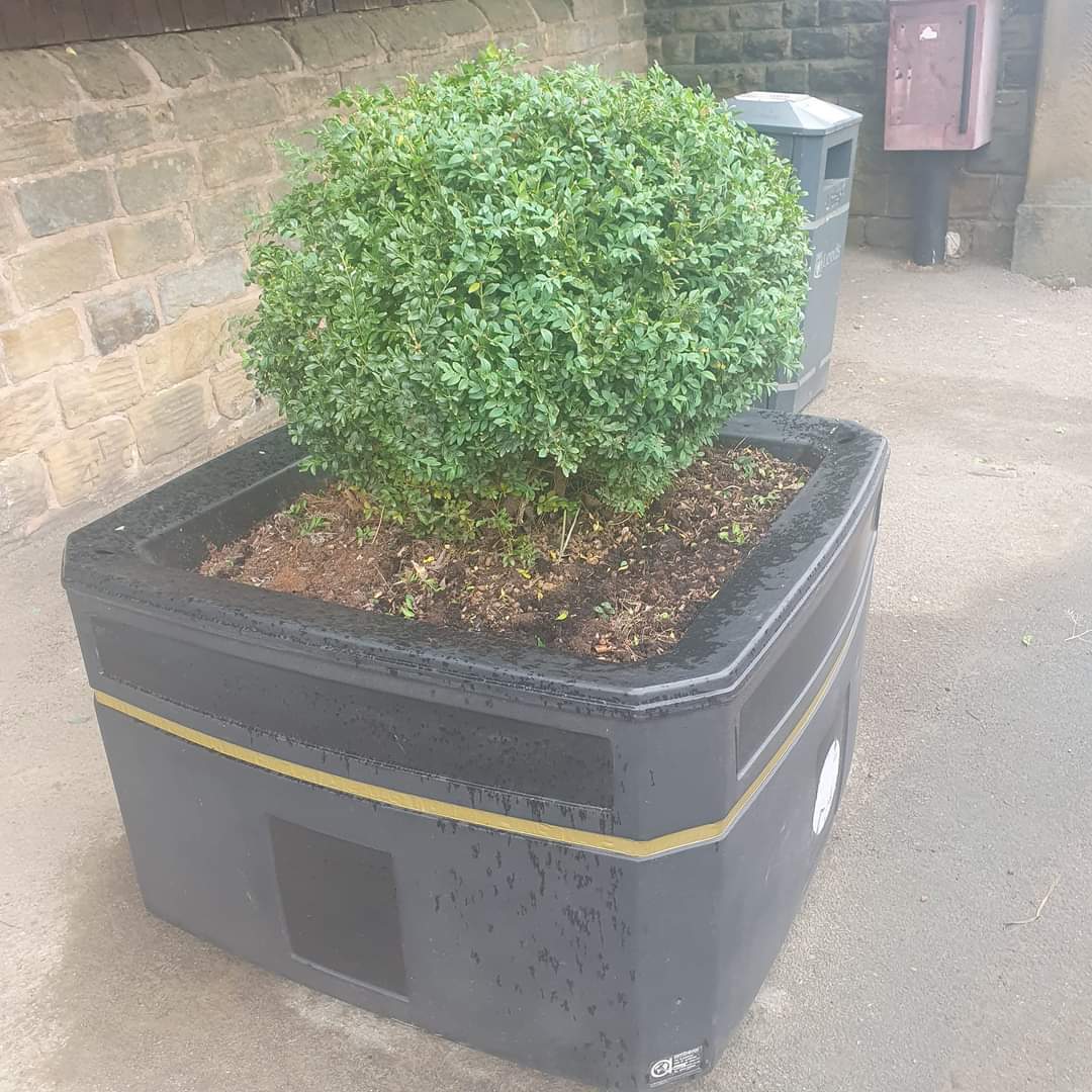 Chur Envi Volunteers tweet media