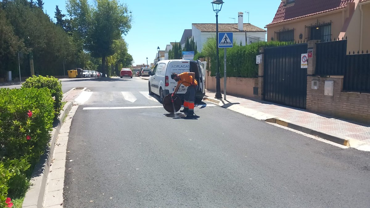 Tomares_es's tweet photo. El Ayuntamiento de Tomares inicia la segunda campaña de desinsectación y desratización del municipio. 🚫 

📅 El tratamiento general en la red de alcantarillado público se llevará a cabo los días 13, 14, 17, 18 y 19 de julio. 

ℹ️ https://t.co/0bKTKO4UDt

#TomaresComoATiTeGusta https://t.co/lO9ejfeK63