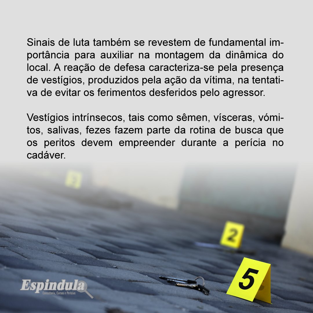 PeritoESPINDULA's tweet image. A análise completa do cadáver, em local de crime, é fundamental para determinar o ocorrido. Saiba mais no post.

#localdecrime #csi #peritocriminal #brasil #pericia #periciaoficial #judiciario #crimecontraavida #vida #policia #investigação