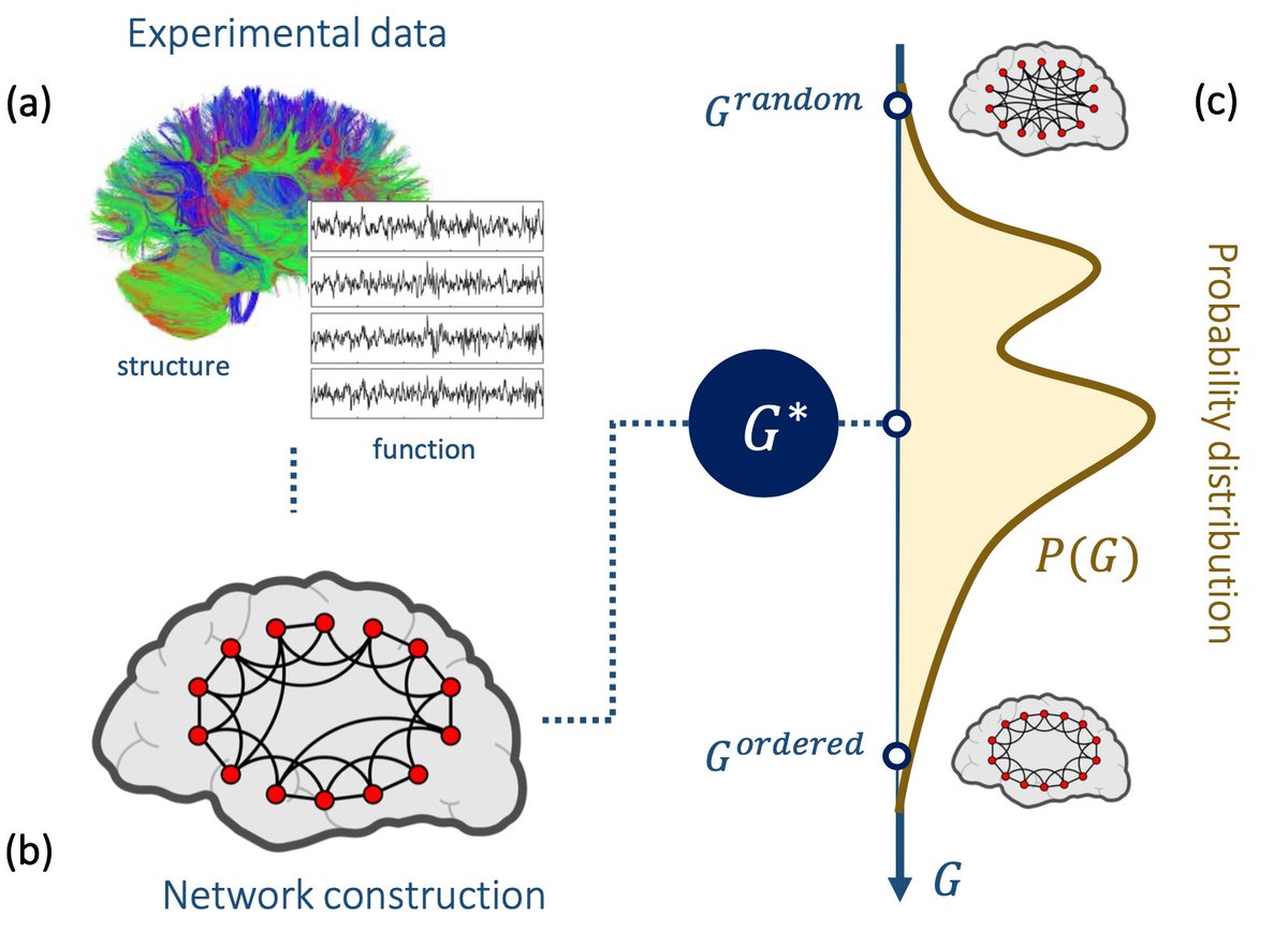 Fabrizio, de Vico Fallani (@f_devicofallani) on Twitter photo Statistical models of complex brain networks doi.org/10.1088/1361-6… just accepted <a href="/IOPPublishing/">IOP Publishing</a> w\@vidichio
ps. hope will be of interest to the network inference out there <a href="/netsci2023/">NetSci 2023</a> Statistical models of complex brain networks doi.org/10.1088/1361-6… just accepted <a href="/IOPPublishing/">IOP Publishing</a> w\@vidichio
ps. hope will be of interest to the network inference out there <a href="/netsci2023/">NetSci 2023</a>