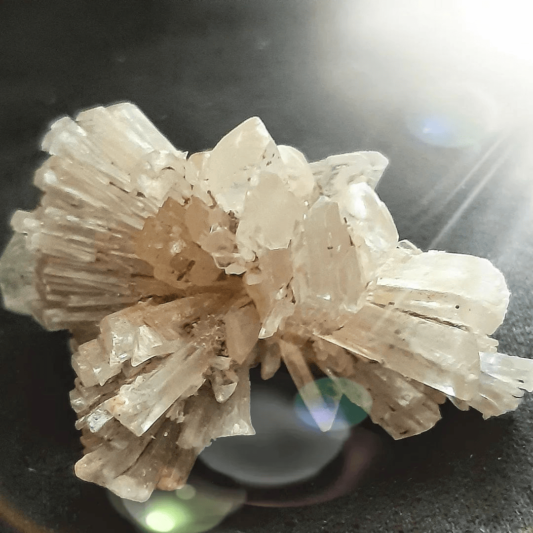 gemsocietyorg's tweet photo. Ethereal Beauty IG freehope60
#GypsumGems #CrystalDelight #GypsumCrystals #MineralMarvels #TranslucentBeauty #GypsumFormation #GleamingMineral #CrystallineWonders #StoneOfSerenity #GypsumMagic #SparklingGypsum #CrystalElegance https://t.co/mjPRDHlsV5