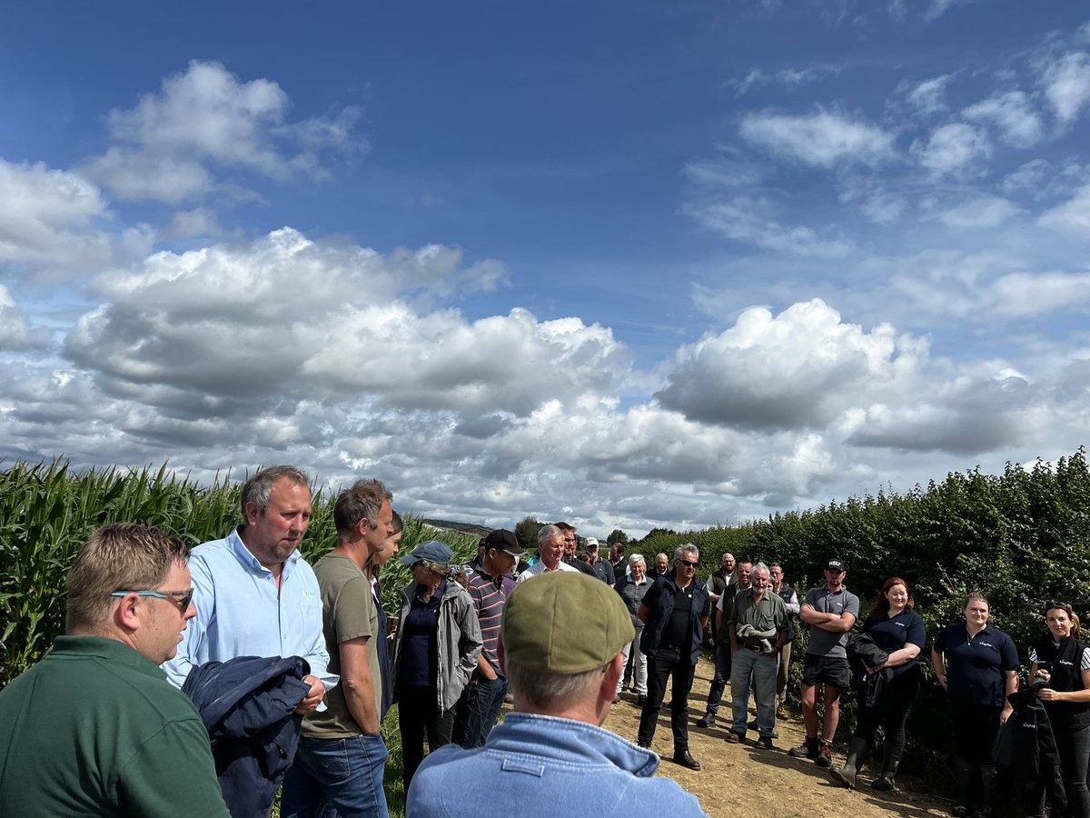 _luce_johnson's tweet photo. Great morning dodging showers with @HorizonSeeds at @BritishGrass Somerset chairmans Mark Humphry’s farm walk 🌦️ @Silostop https://t.co/vgEQtzf6xI