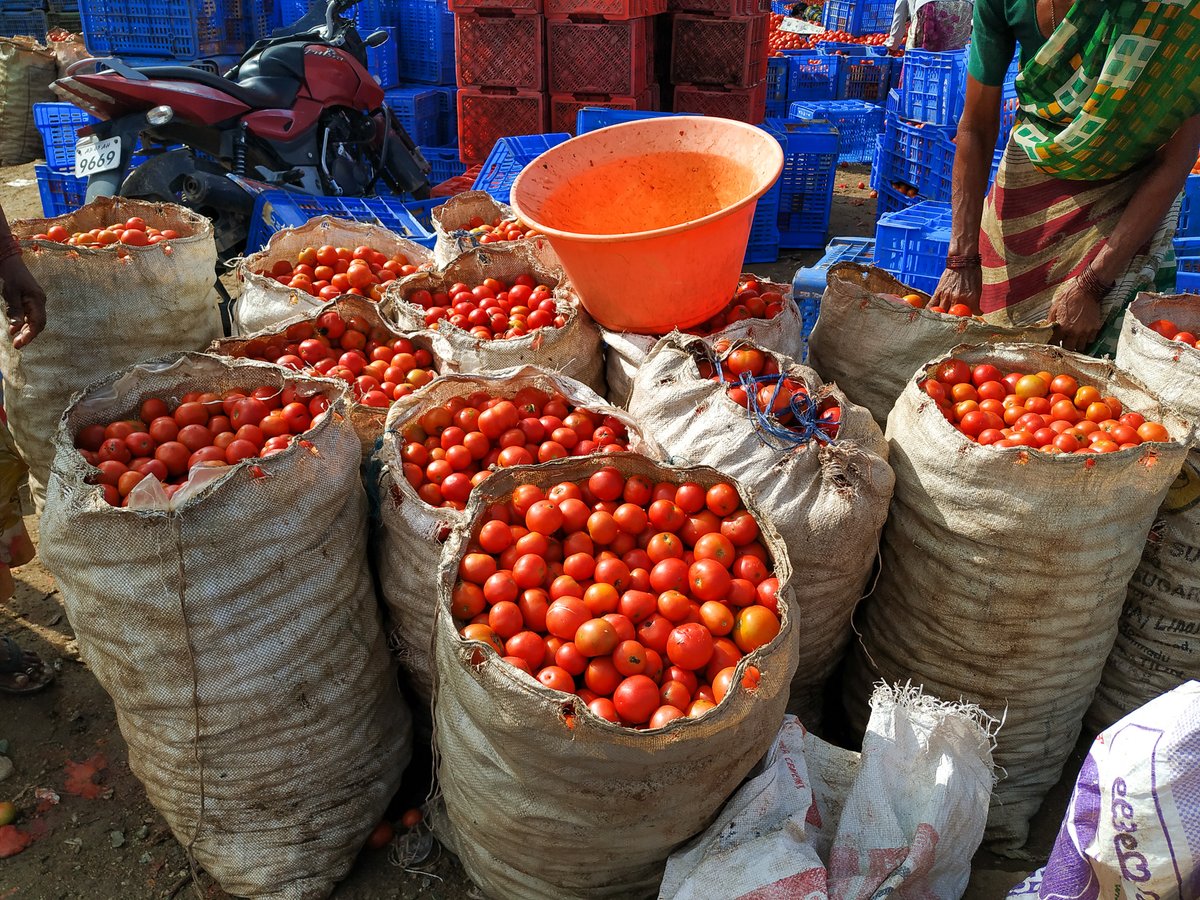 Extreme weather in the few regions where tomatoes are grown in India has fueled a nationwide spike in prices, @jocelynboiteau told @CNN tci.cornell.edu/?news=tci-rese…