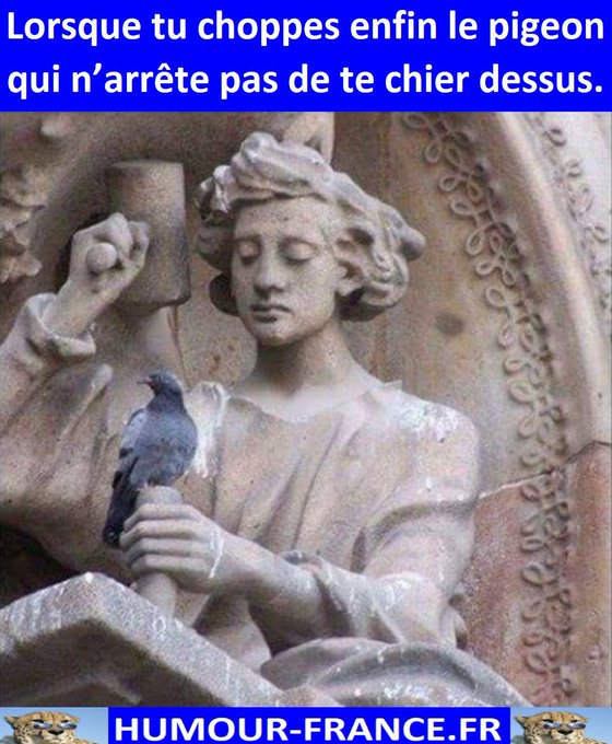 text alternatif