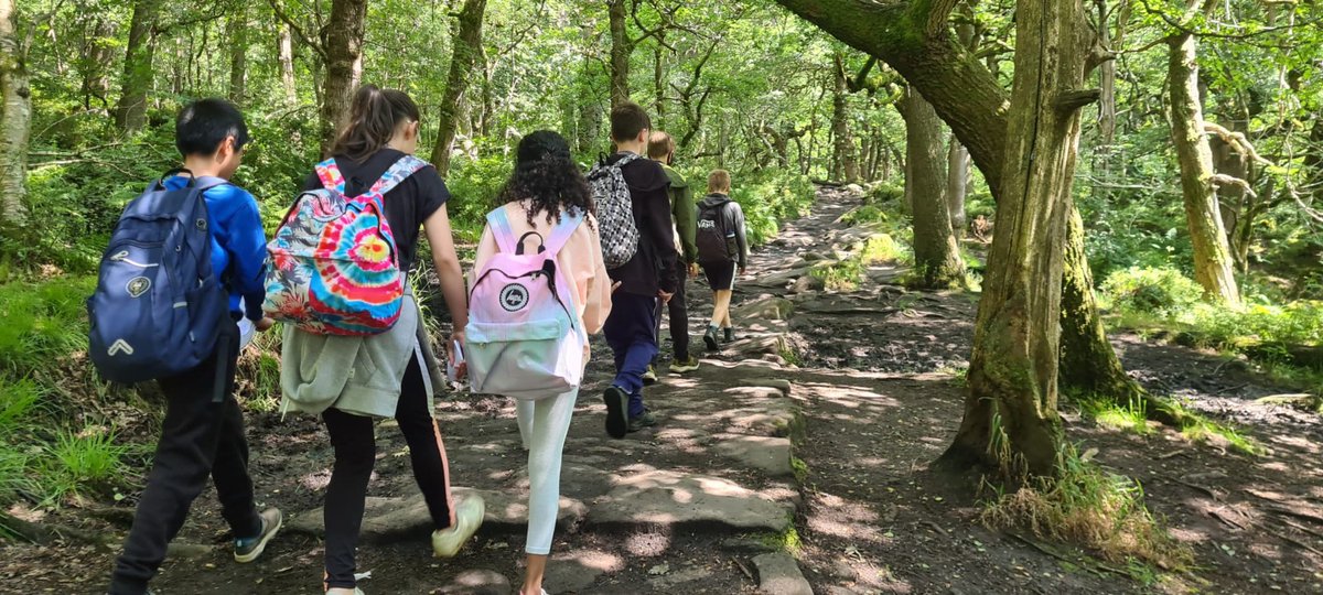 SY_STARSAwards's tweet photo. Today a group of #Year6 pupils from @TotleyPrimary took the train to Grindleford Station & walked back to school, navigating their way using map-reading skills learnt in Geography πΊοΈ
What a great experience!
#SYStarsTeam https://t.co/4LSQn4fnfA