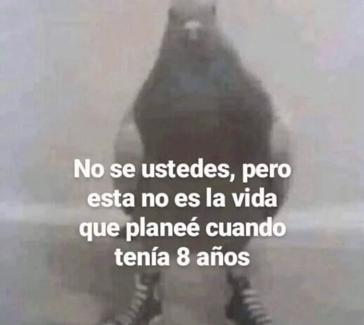 piña sin pizza (@skereunpesado) on Twitter photo 