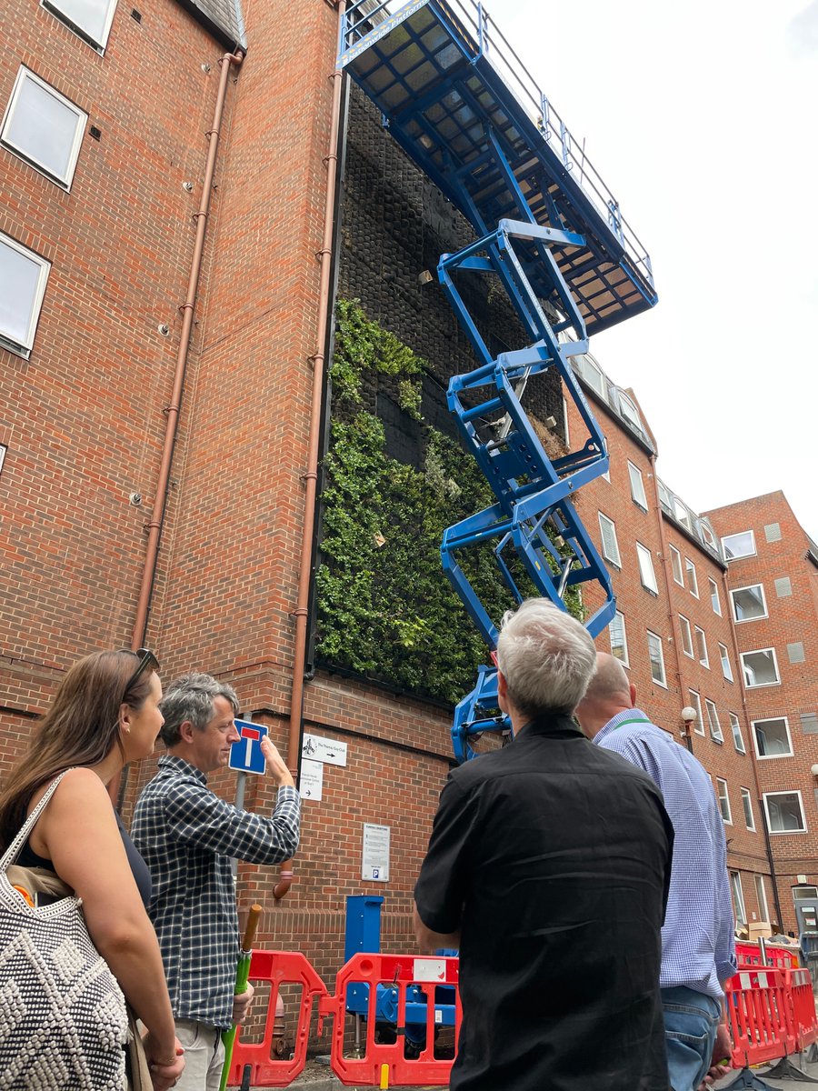 TeamLondonBdg's tweet photo. 🌸Today we showed off our green spaces to the @LondonInBloomUK judges! From SuDS rain gardens to pocket parks, each space makes up a mosaic of greenery + biodiversity in LB, all created &amp; cared for by brilliant individuals + organisations in our community

Thanks to all involved! https://t.co/EespsIYfkk
