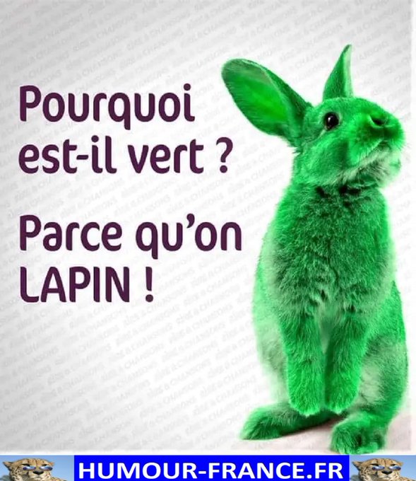 text alternatif