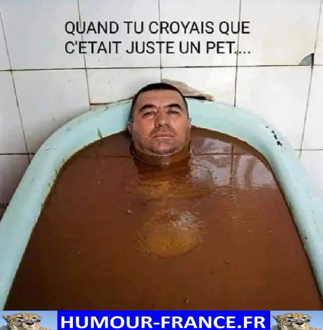 text alternatif