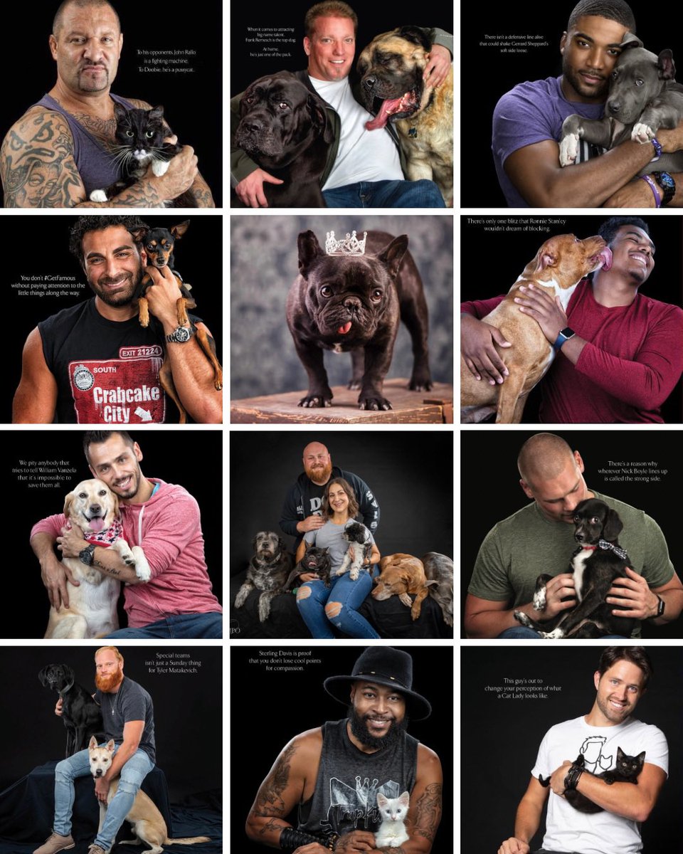 Twitter! Forget ‘ice cream date’ discourse. The REAL question? Who’s going to be crowned #SoftieHomecoming King tonight…

a CAT guy… 🐱 
or a DOG dog? 🐶 

It’s time to settle this… once and for all. Vote now: info.dipjar.com/en-us/softieho… and RT!

#CatsOfTwitter #DogsOfTwitter