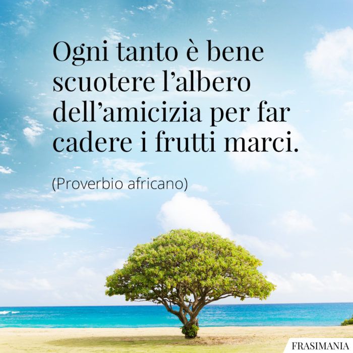 amicigattiecani's tweet photo. https://t.co/lTawYGYh9L