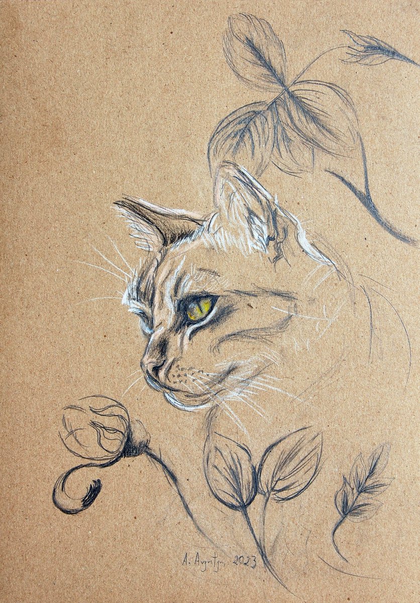 Pencil on Kraft-paper, 12/8.3 in #catdrawing #rysunekkota #catsketches #catart #szkicownik #catsketch #catdrawings #fineartdrawings #animalart #animaldrawings #draw #artistsontwitter #wallart #art #pencilart #pencildrawings