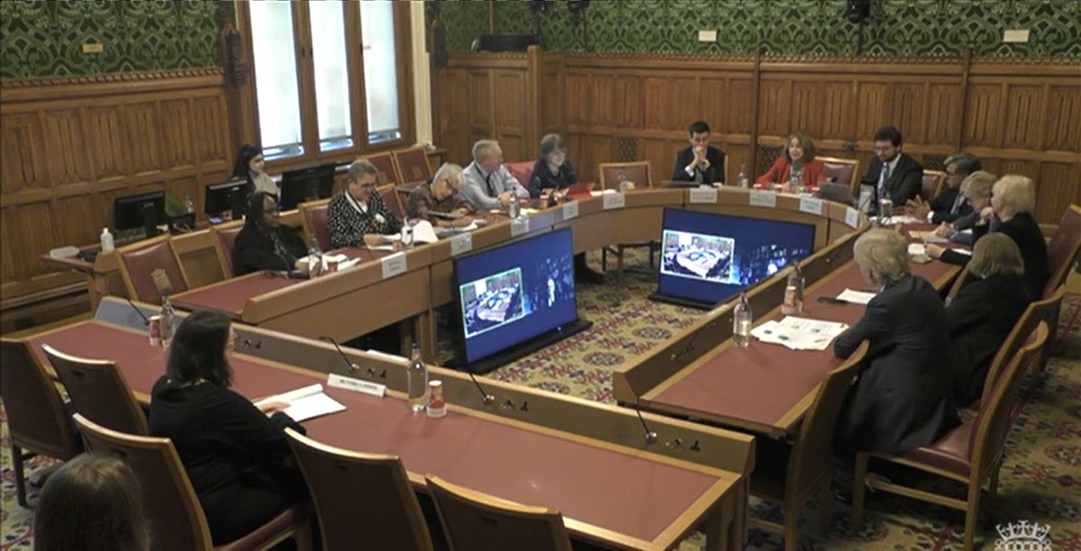Lords Primary and Community Care Committee tweet media