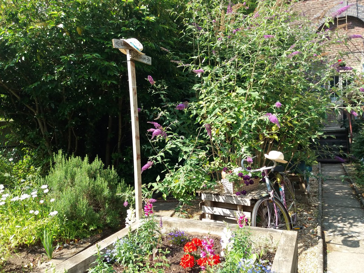 Chesham in Bloom tweet media