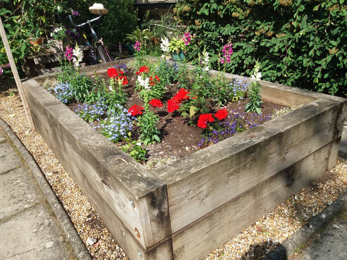The station garden is looking good and is ready for #hatsofchesham which will take place on Saturday 15th July! #GardeningTwitter #gardening #FlowersOfTwitter #TCinBloom #destinationchesham  #visitchesham