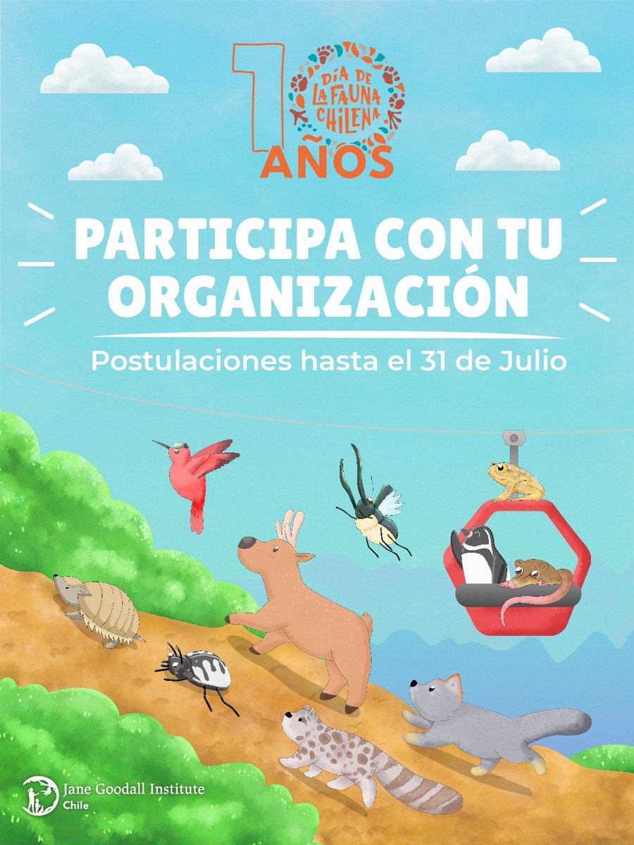 Fundación Jane Goodall Institute 🇨🇱 tweet media
