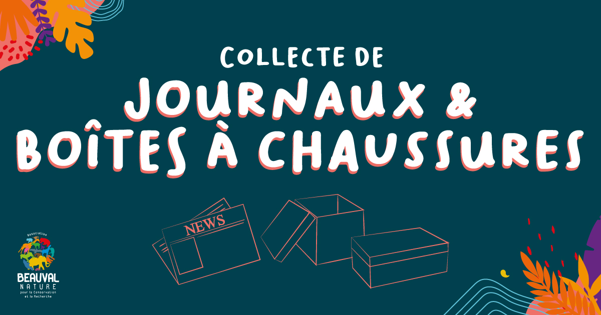 Beauval Nature (@beauvalnature) on Twitter photo 📰 Au <a href="/zoobeauval/">ZooParc de Beauval</a>, la faune locale est à l’honneur jusqu’au 23 juillet. Participez à la collecte du #CentredeSoins #BeauvalNature ! Vous contribuerez ainsi au sauvetage des animaux de nos campagnes. 🗞 🌿 📰 Au <a href="/zoobeauval/">ZooParc de Beauval</a>, la faune locale est à l’honneur jusqu’au 23 juillet. Participez à la collecte du #CentredeSoins #BeauvalNature ! Vous contribuerez ainsi au sauvetage des animaux de nos campagnes. 🗞 🌿