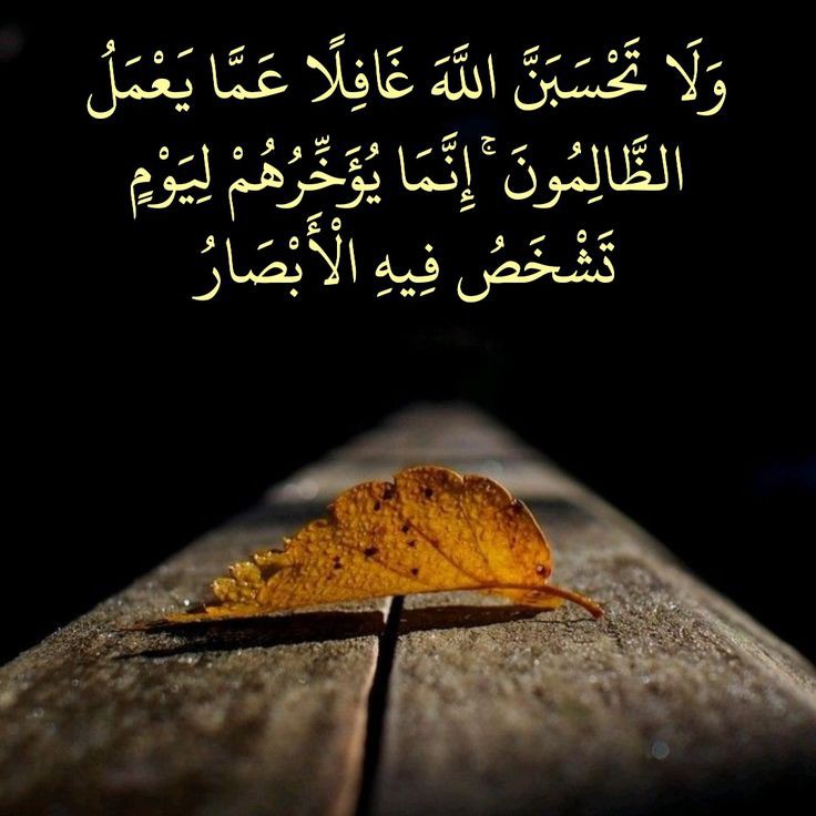 KymLary's tweet photo. #فضيحه_تسريب_الفيزياء https://t.co/WRtFur6ZNk