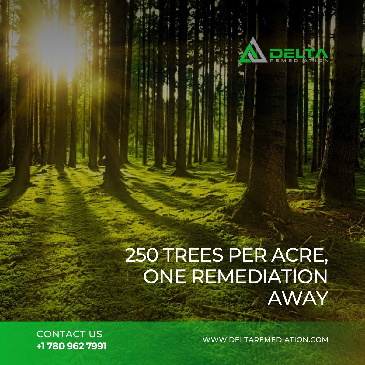 Every acre we remediate today supports 250 trees tomorrow. Here's to a greener future with each breath they offer! Dive in to see how we're reshaping the world. 🌍💚🌳💨 #RemediateForOurFuture #DeltaRemediation #Bioremediation