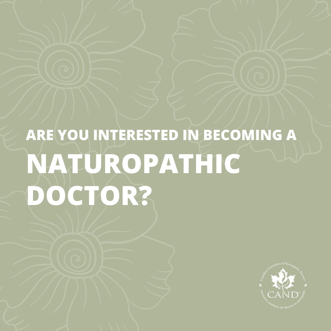 Like a conventional doctor, a ND first completes an undergraduate degree at university before entering a four-year, full-time accredited naturopathic medical program. Graduates receive the title “N.D.” or Doctor of Naturopathic Medicine. Visit cand.ca