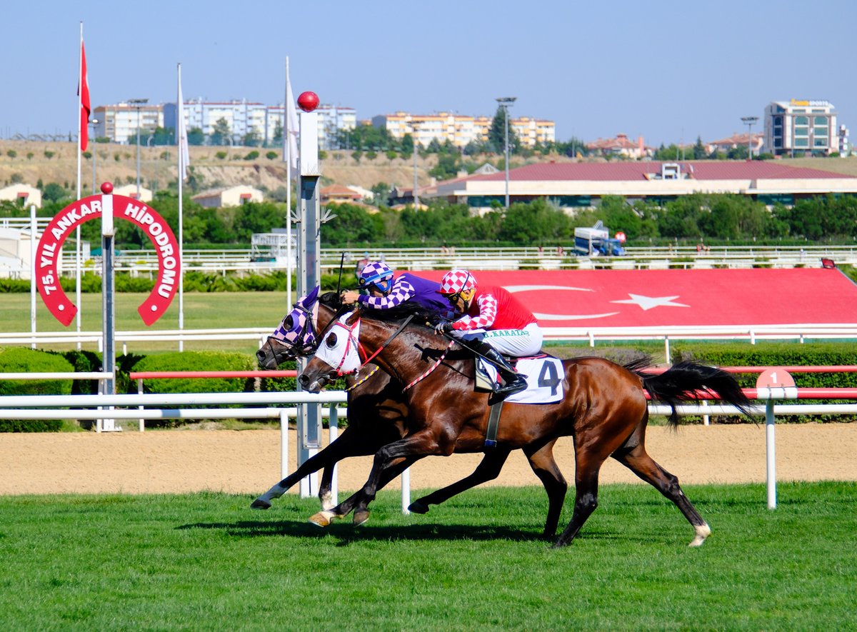 Karacabey Tarım İşletmesi Koşusu'nu Zincir Koparan kazandı

tjk.org/TR/YarisSever/…