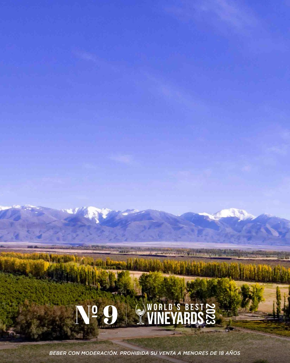 BodegaSalentein's tweet photo. Agradecidos por este reconocimiento de @worldsbestvineyards como la Bodega Nº9 del mundo, queremos invitarlos a vivir la #ExperienciaSalentein y disfrutar de este gran premio. https://t.co/Ly0V12Zbig