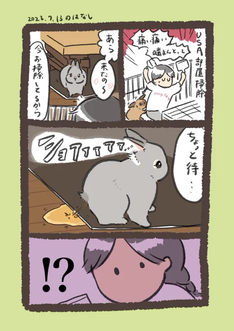 ジェラシー…?🤭

#うさぎのいる生活 