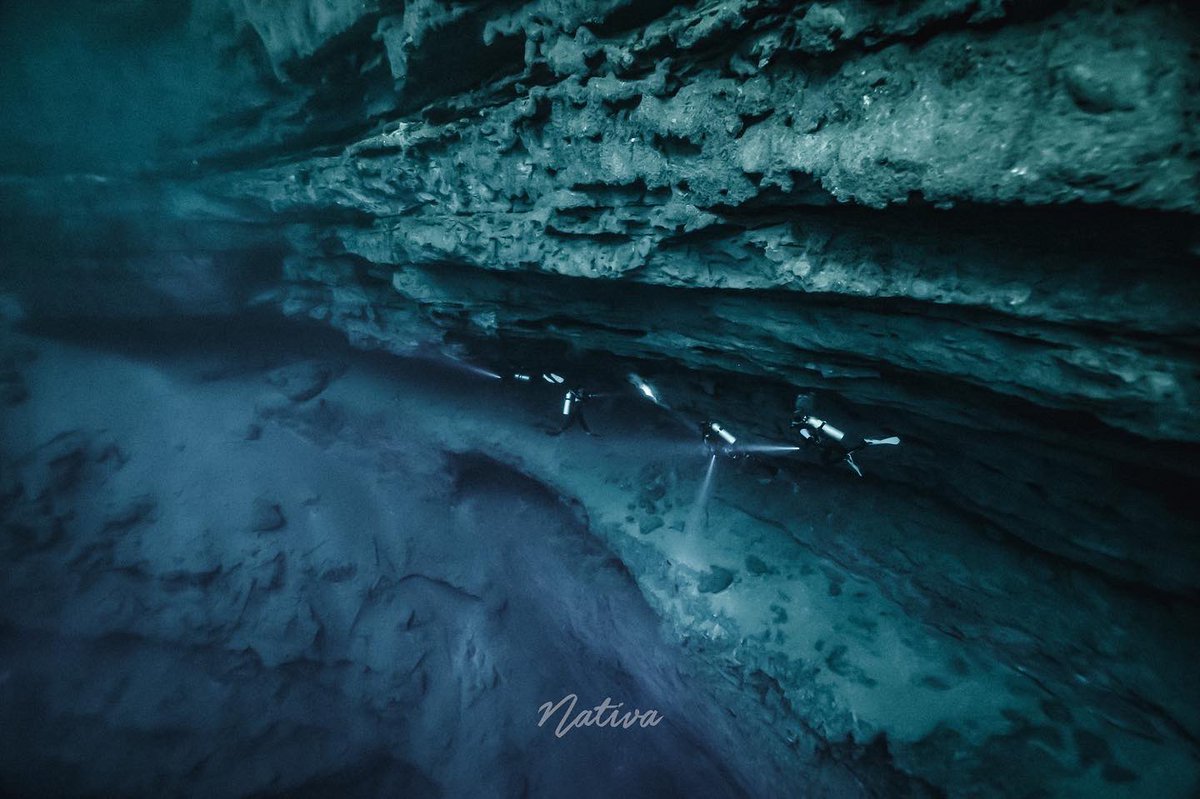 nativasoy's tweet photo. Sabak-Há el cenote con mayor profundidad registrada en Yucatán
Su color verde esmeralda es debido a una capa de materia orgánica en descomposición que flota en la superficie y hasta aproximadamente 15 metros de profundidad. 
Después el agua se vuelve cristalina.
#underwaterworld https://t.co/uzVhiAbleF