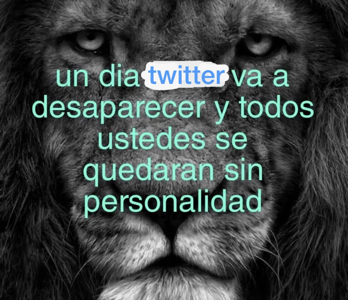 BFrog (@bfrog__) on Twitter photo 