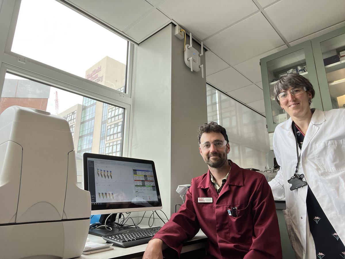 Daniel Kelly tweet media