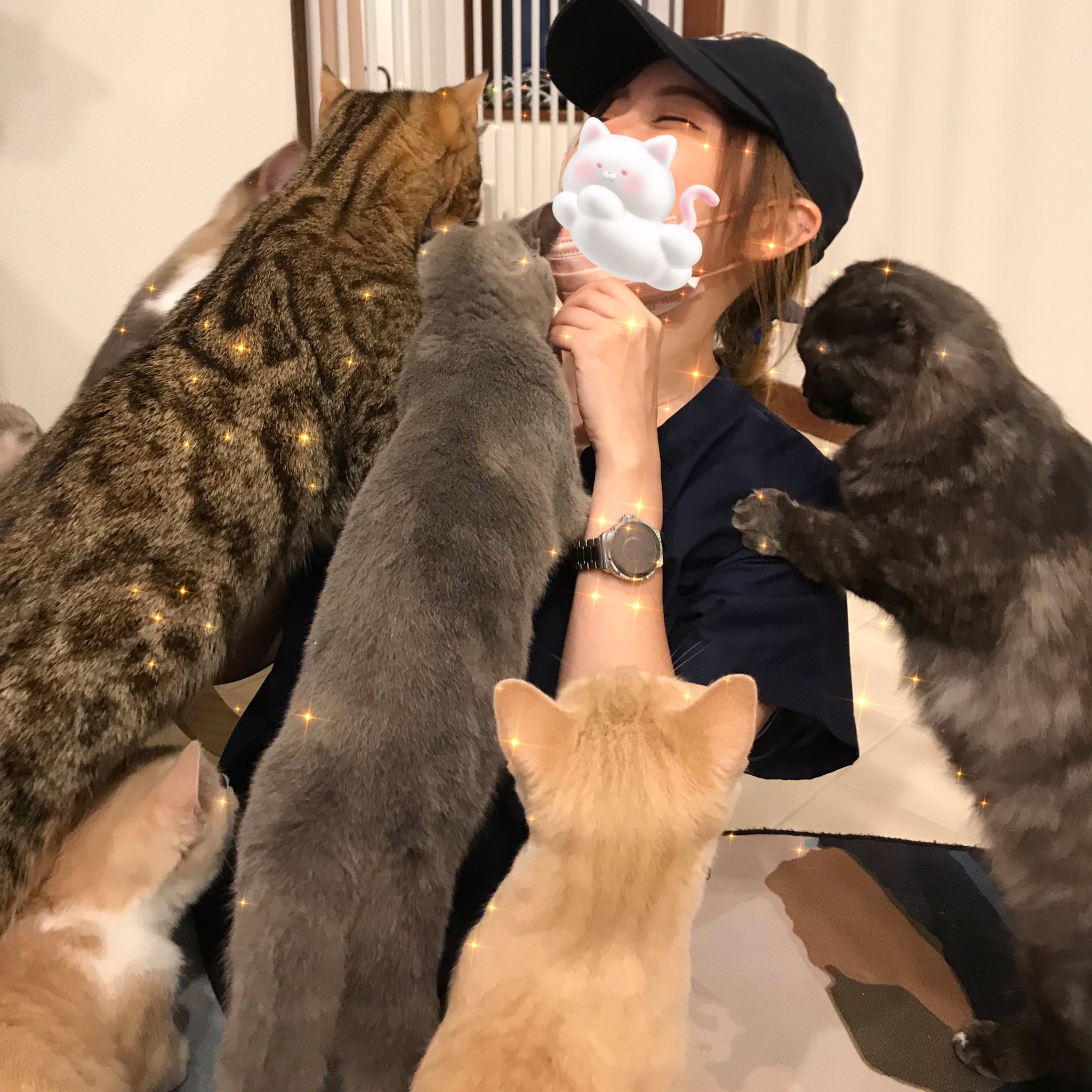 猫奴隷 - Search / X