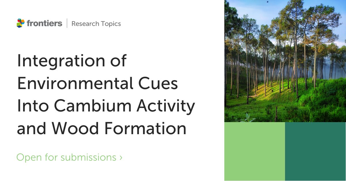 FrontPlantSci's tweet photo. 🔔 Call for Submissions!

Don't miss this chance to contribute to the cutting-edge research in wood formation! 🌱🌿🌳 #CallForPapers #WoodFormation

Topic Editors: Melis Kucukoglu (@melis_koglu) and Andrew Groover

🔗 Learn more and register your interest: https://t.co/SSdVeETXct https://t.co/303qge5iat