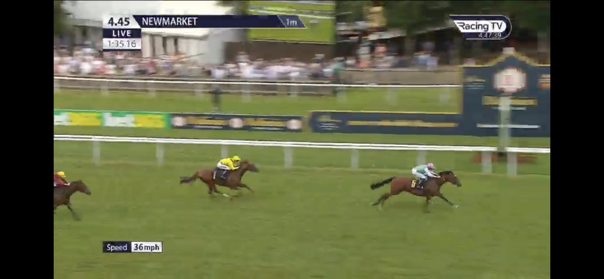 Rowdy Racing Tips (@RowdyRacingTips) / Twitter