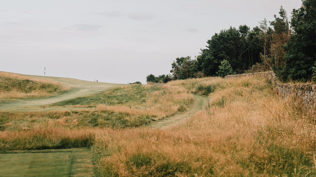 Fried Egg Golf tweet media