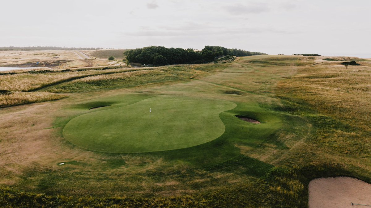 Fried Egg Golf tweet media