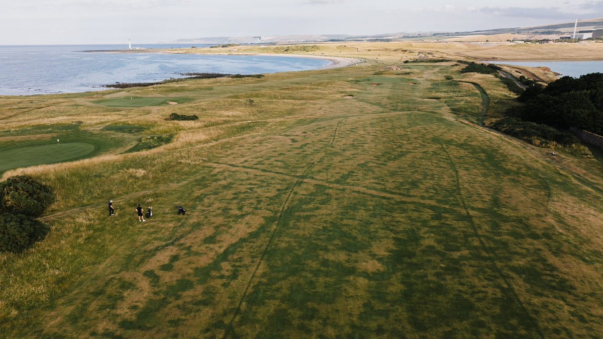 Fried Egg Golf tweet media