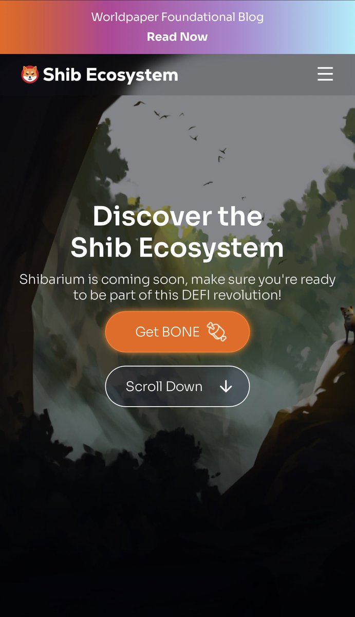 LucieSHIB's tweet photo. NEW WEBSITE 🥰✍🏼 

https://t.co/KBMdomim9y

$SHIB $BONE $LEASH 
New beginnings 

$BAD is there newly added as partner 💐 https://t.co/ZF30UTdawb