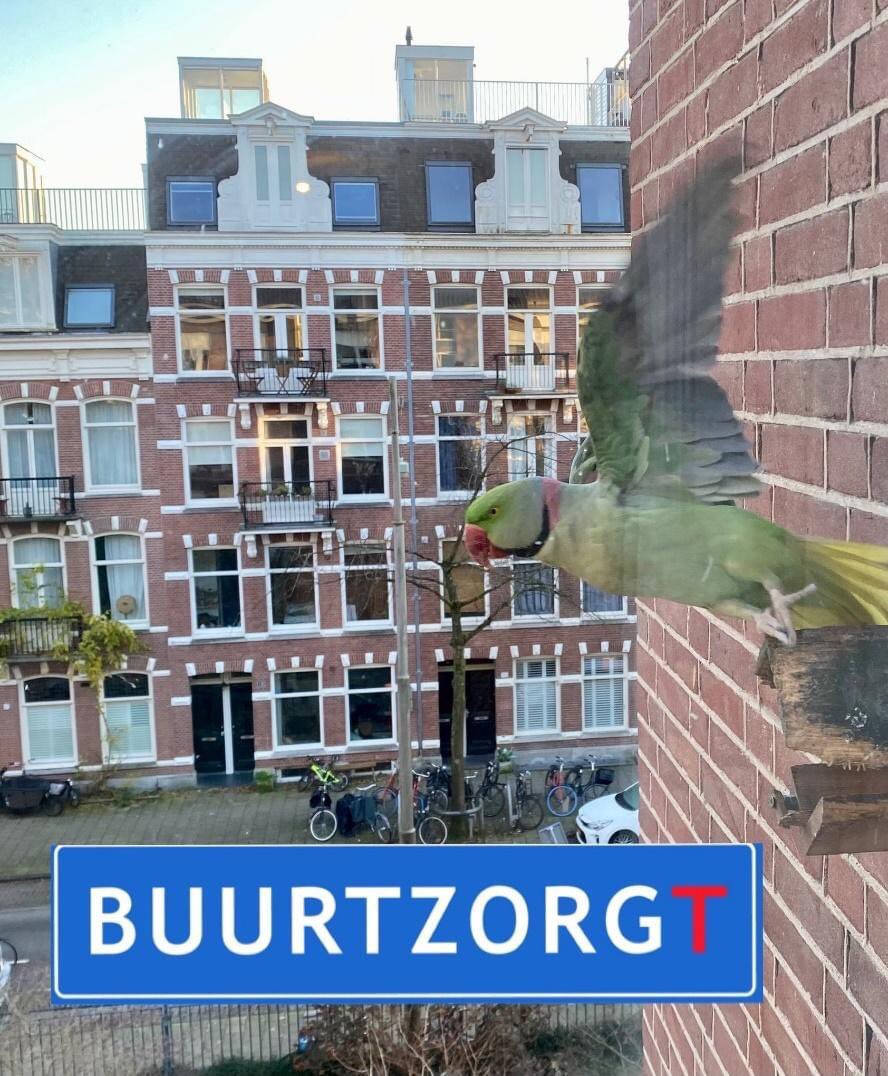 BuurtzorgT's tweet photo. @BuurtzorgT team de Baarsjes en Oud-West zijn op zoek naar een sociaal psychiatrisch #verpleegkundige #SPV #HBOv
Lees meer over deze #vacature via https://t.co/lk5HtGt0ET
#SGGZ #ambulant #Amsterdam https://t.co/iHrFPQnhmO