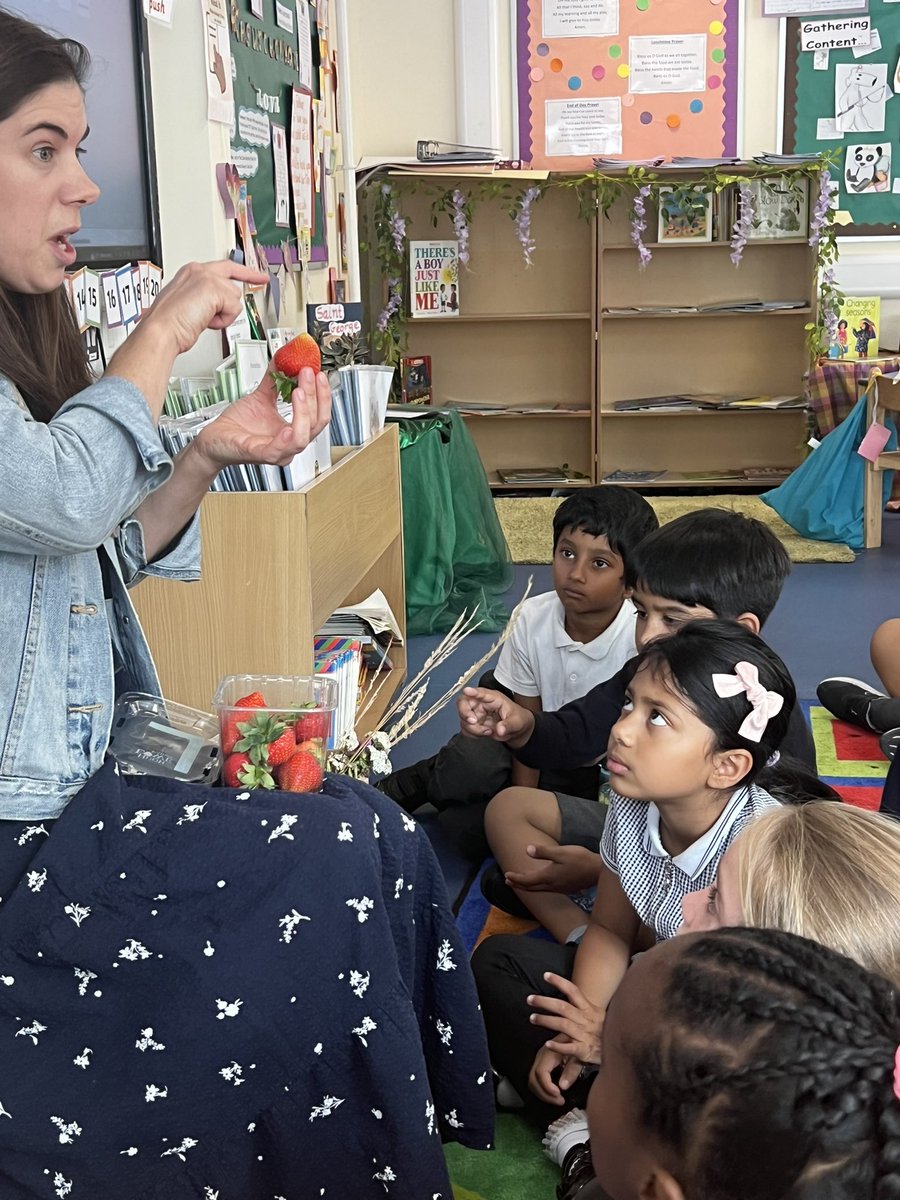 e1_stgeorge's tweet photo. Such a lovely afternoon tasting the 
strawberries we saw growing last term from Orchard Place Farm. They were delicious!!!! So nice seeing Ailsa again from the Countryside Trust! @CountryTrust https://t.co/ZRgHSNkowL