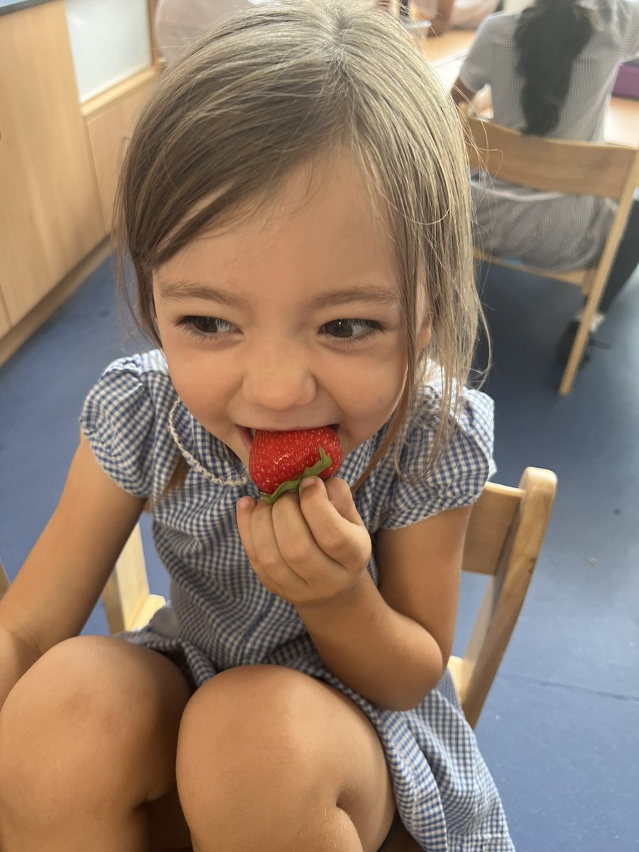 e1_stgeorge's tweet photo. Such a lovely afternoon tasting the 
strawberries we saw growing last term from Orchard Place Farm. They were delicious!!!! So nice seeing Ailsa again from the Countryside Trust! @CountryTrust https://t.co/ZRgHSNkowL