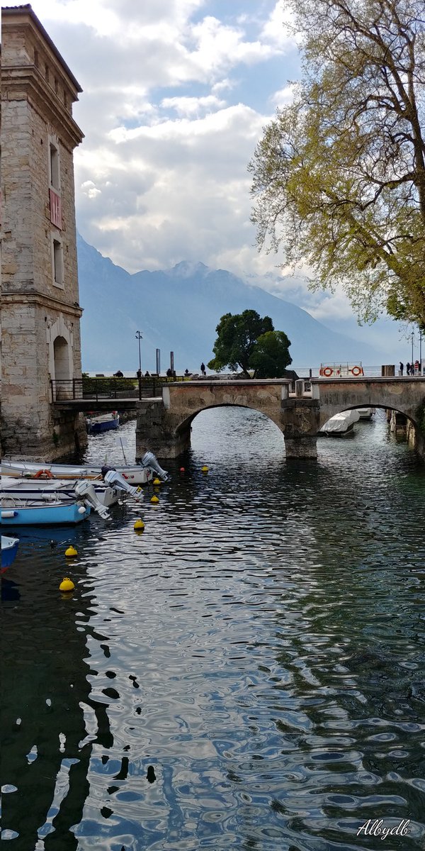 ALBYDB069's tweet photo. #rivadelgarda #lagodigarda #Travel #Italia 🇮🇹 https://t.co/avVj0vsmi2