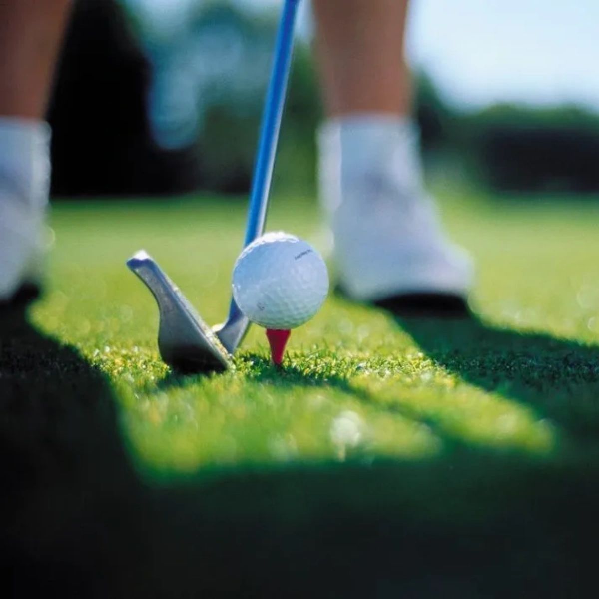 TeesGolfCenter1's tweet photo. Tip for beginner golfers: when addressing the ball, make sure your feet, knees, hips and shoulders are all parallel to the target line. This will help with your swing path and accuracy! Come get some practice in with us at our driving range. https://t.co/c3TZGEerqF